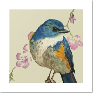 Spring Bird Posters and Art